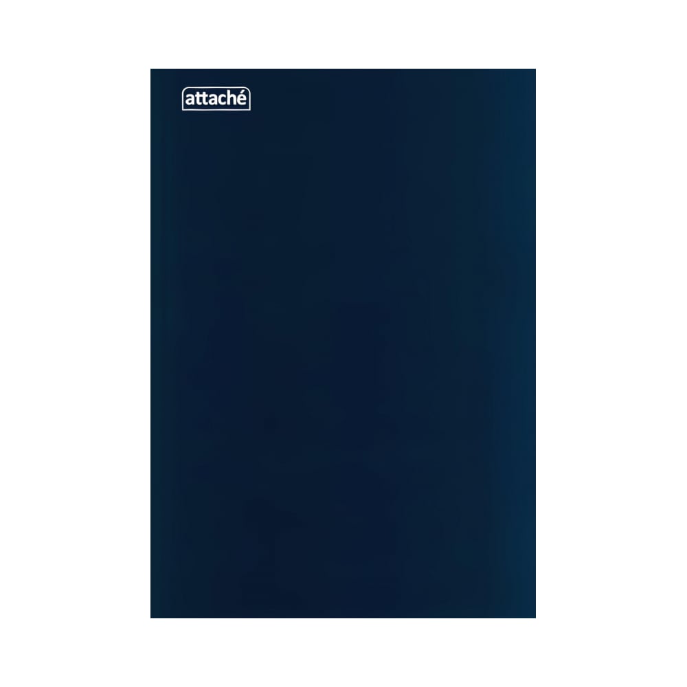 Книга учета Attache дневник универсальный для 1 11 классов 48 листов sidney nebraska твердая обложка искусственная кожа термотиснение ляссе блок 70 г м2 синий