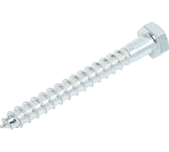 Изображение товара Болт сантехнический ЖЕСТЬ DIN 571, 12x100 мм, 2 шт., европодвес УТ-00010375