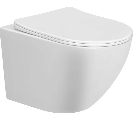 Изображение товара Подвесной безободковый унитаз Taliente Amato, белый, с крышкой микролифт (быстросъемный механизм) AM25010