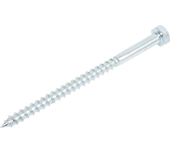 Изображение товара Болт сантехнический ЖЕСТЬ DIN 571, 10x150 мм, 2 шт., европодвес УТ-00010374