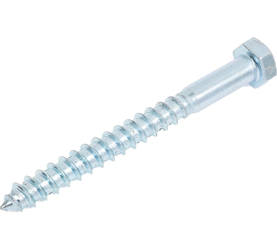 Изображение товара Болт сантехнический ЖЕСТЬ DIN 571, 12x120 мм, 2 шт., европодвес УТ-00010376