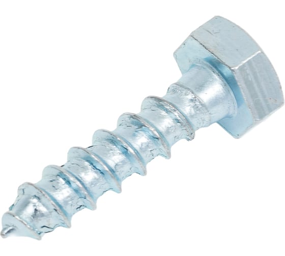 Изображение товара Болт сантехнический ЖЕСТЬ DIN 571, 10x40 мм, 2 шт., европодвес УТ-00011147