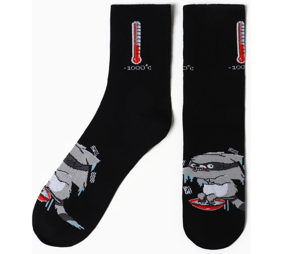 Изображение товара Носки мужские KAFTAN "Енот" р. 41-44 (27-29 см) 5402392