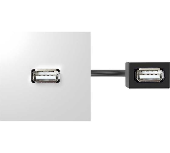 Изображение товара Проходной модуль с адаптером USB мама/мама Simon, белый, 400 40001191-030