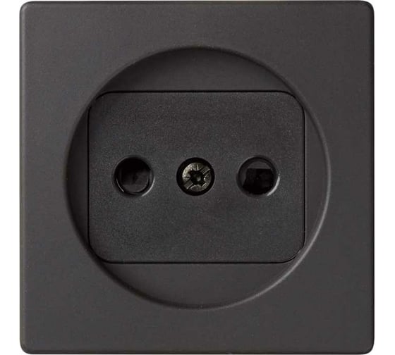 Изображение товара Накладка на двухполюсную розетку Simon, 2Р, без заземления, с защитными шторками, графит 82040-38