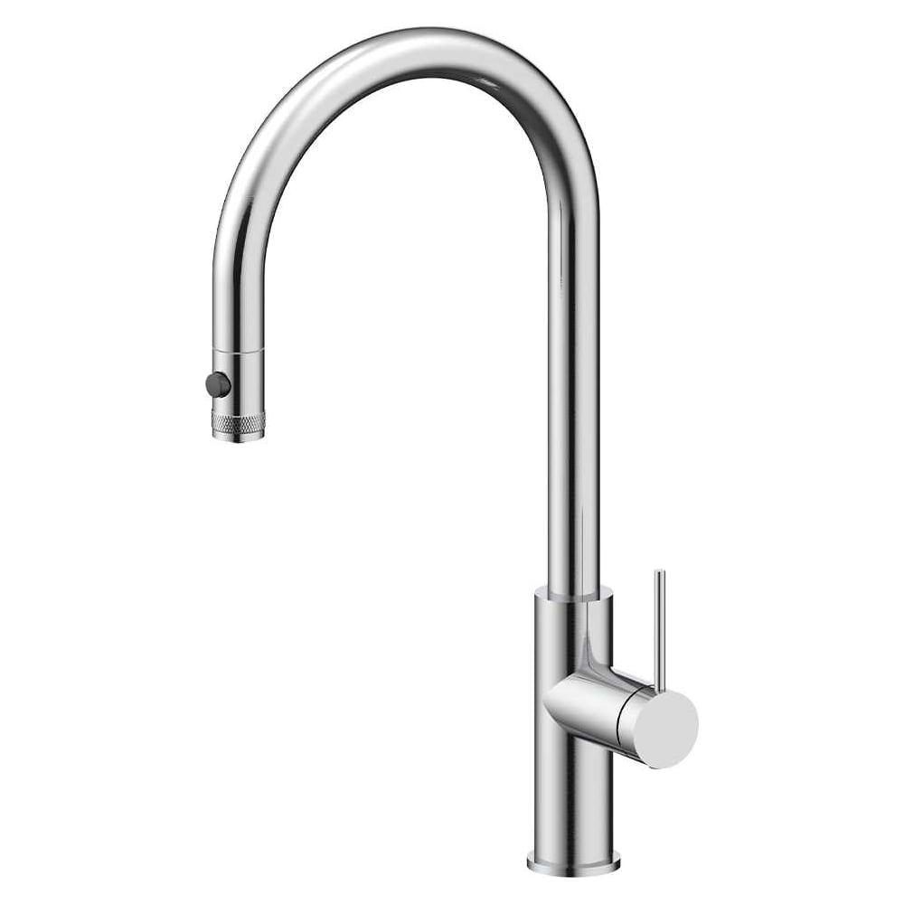 Изображение товара Смеситель для кухни Paulmark Galant брашированная сталь Ga213077-BS однорычажный выдвижной