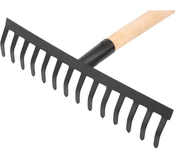 Изображение товара Грабли КУРС прямой зуб, 14 зубьев, с деревянным черенком 76962