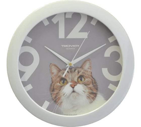 Изображение товара Настенные часы TROYKATIME Тройка 11110193