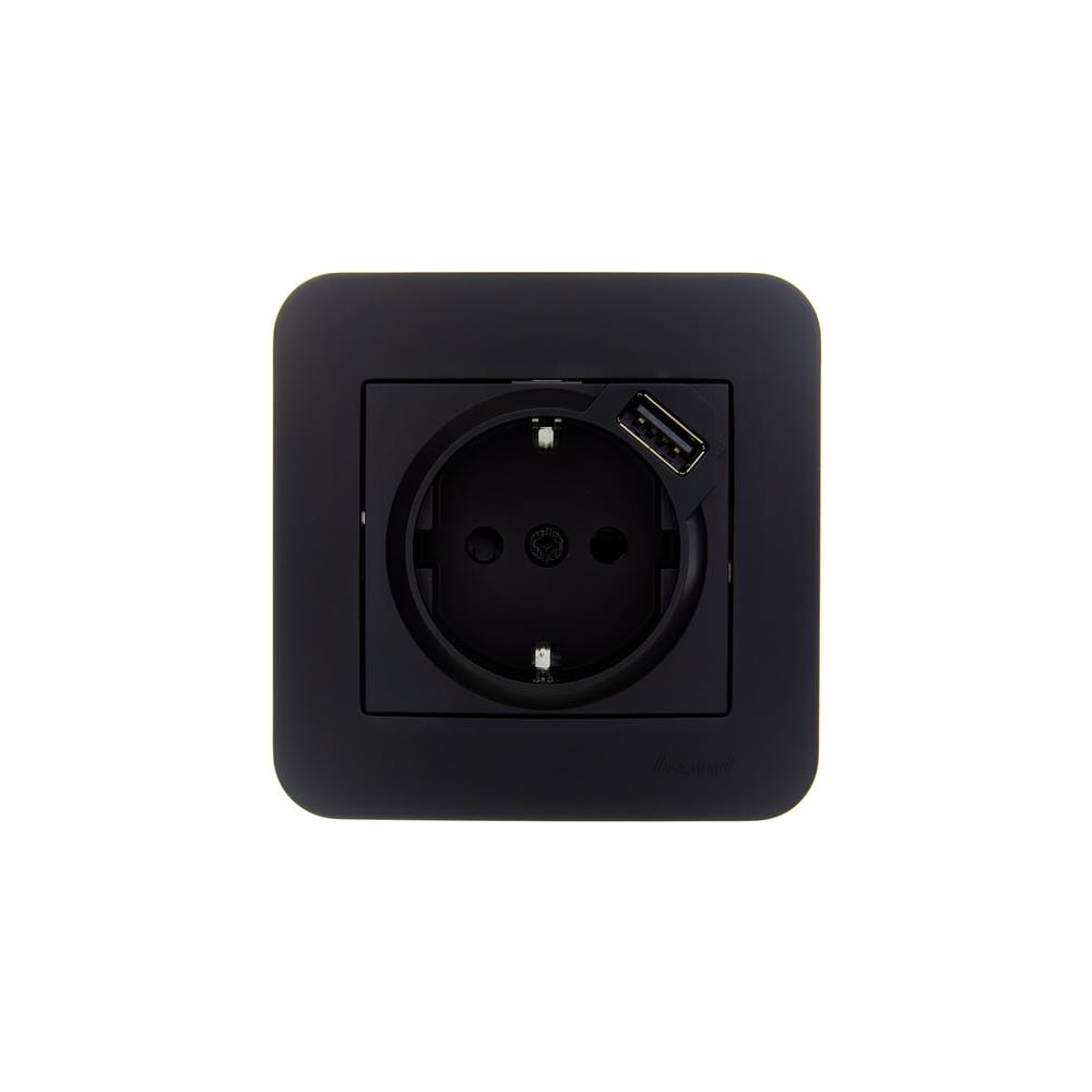 Изображение товара Розетка Lezard ASTI с заземлением + USB разъём чёрный бархат 7081-4242-181 Изображение товара Розетка Lezard ASTI с заземлением + USB разъём чёрный бархат 7081-4242-181