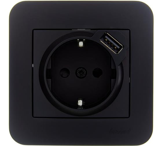 Изображение товара Розетка Lezard ASTI с заземлением + USB разъём чёрный бархат 7081-4242-181