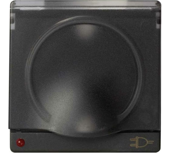 Изображение товара Накладка с крышкой Simon с з/ш и индикатором для двухполюсной розетки, с/з, S82,82N, 82 Detail, графит 82099-38