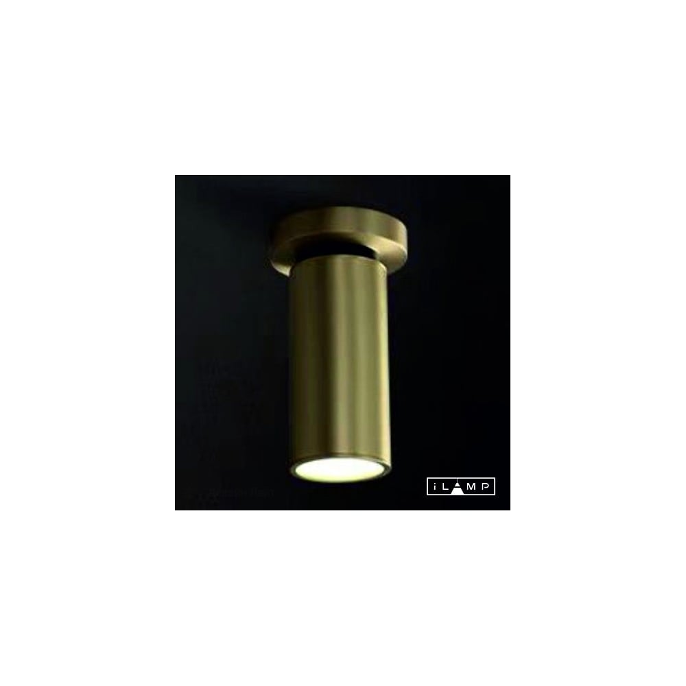 Изображение товара Настенно-потолочный светильник PLUM iLAMP 8861C BR-BK с светодиодной лампой модерен дизайн