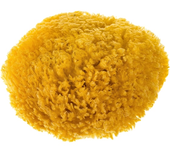 Изображение товара Натуральная средняя морская губка STMDECOR M87