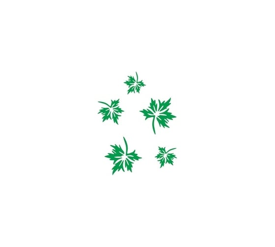 Изображение товара Виниловый трафарет STMDECOR КЛЕНОВЫЙ ЛИСТ HW-087