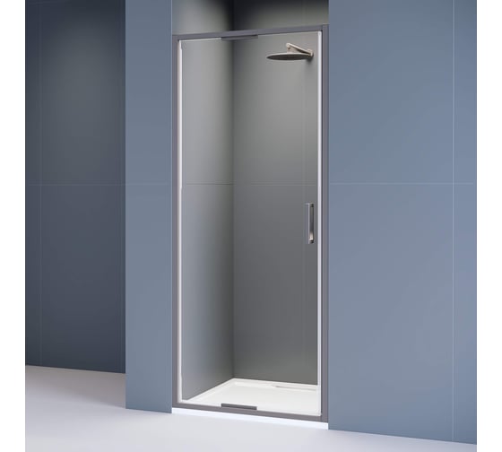 Изображение товара Душевая дверь RGW 100х195 SV-05-Gr серый, прозрачное, 8 мм, Easy 70320510-110