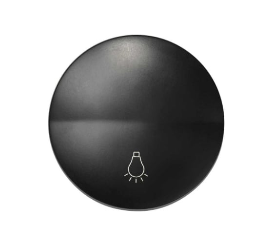 Изображение товара Клавиша для одноклавишного кнопочного выключателя Simon S88, с пиктограммой лампа, графит 88018-38