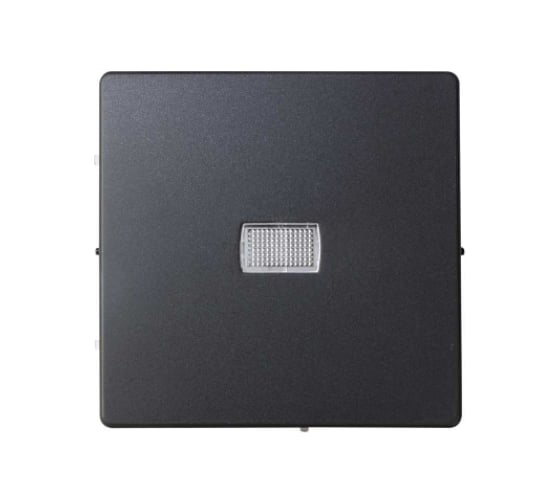 Изображение товара Клавиша для одноклавишного выключателя с подсветкой Simon под пиктограммы, графит 8200013-038