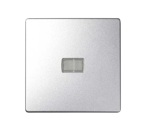 Изображение товара Клавиша для одноклавишного выключателя с подсветкой Simon под пиктограммы, алюминий 8200013-093