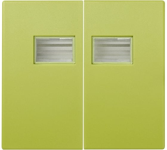 Изображение товара Декоративная сменная клавиша для двухклавишных выключателей с подсветкой Simon, 2 шт, S44 Aqua, фисташковый 4400026-065