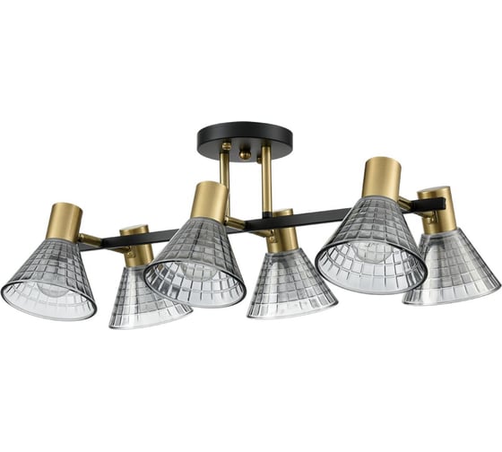 Изображение товара Люстра потолочная LUMION E14 6*40W ANRIYA 8044/6C