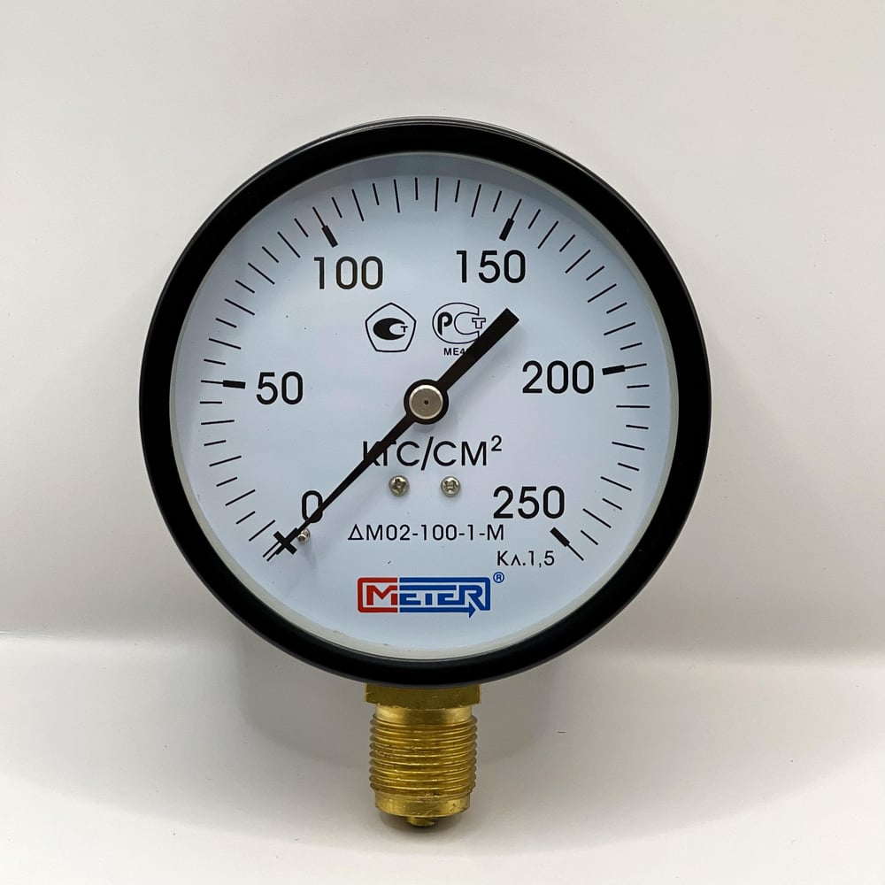 Изображение товара Манометр МЕТЕР ДМ 02-100-1-М для измерения давления до 250 бар