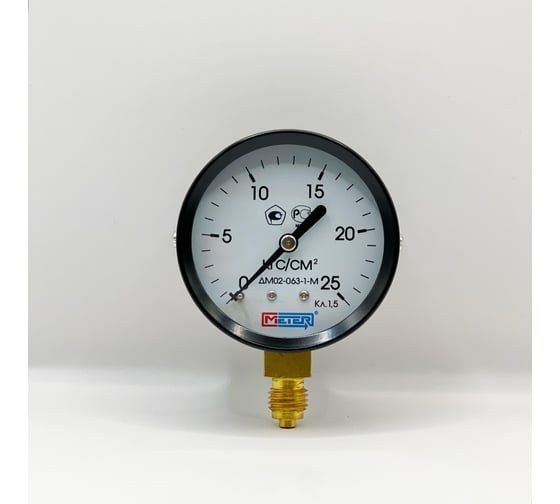 Изображение товара Манометр МЕТЕР ДМ 02-063-1-М Р=0..25 кгс/см2 М12x1,5 кл.1.5 669