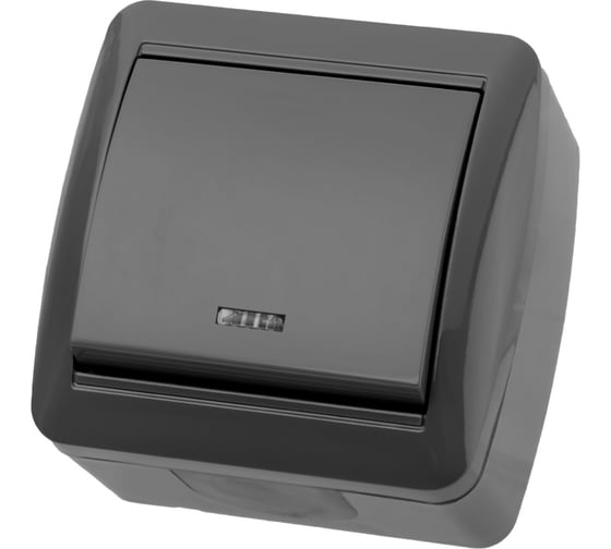 Изображение товара Выключатель одноклавишный накладной с подсветкой, серый IP44 TDM ELECTRIC 10А серия "Селигер" SQ1818-0103