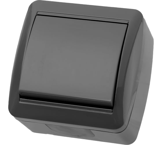 Изображение товара 1-клавишный выключатель TDM ELECTRIC открытой установки IP44 10А серый "Селигер" SQ1818-0101