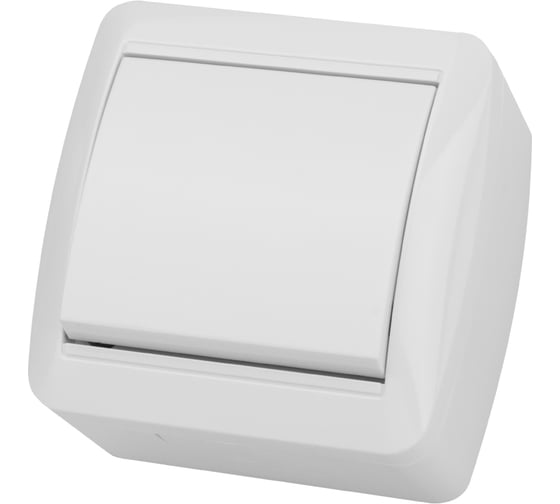 Изображение товара 1-клавишный выключатель TDM ELECTRIC открытой установки IP44 10А белый "Селигер" SQ1818-0001