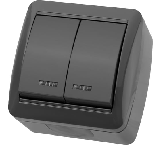 Изображение товара Выключатель двухклавишный накладной с подсветкой, серый TDM ELECTRIC IP44 10А серия "Селигер" SQ1818-0104