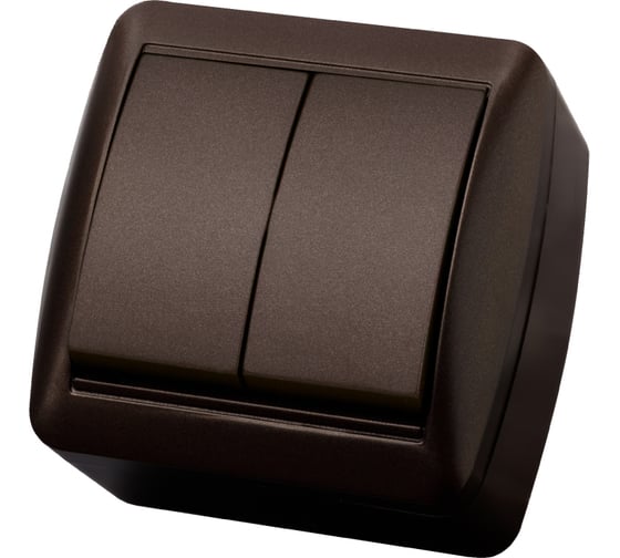 Изображение товара Выключатель двухклавишный накладной TDM ELECTRIC IP44 10А шоколад, серия "Селигер" SQ1818-0202