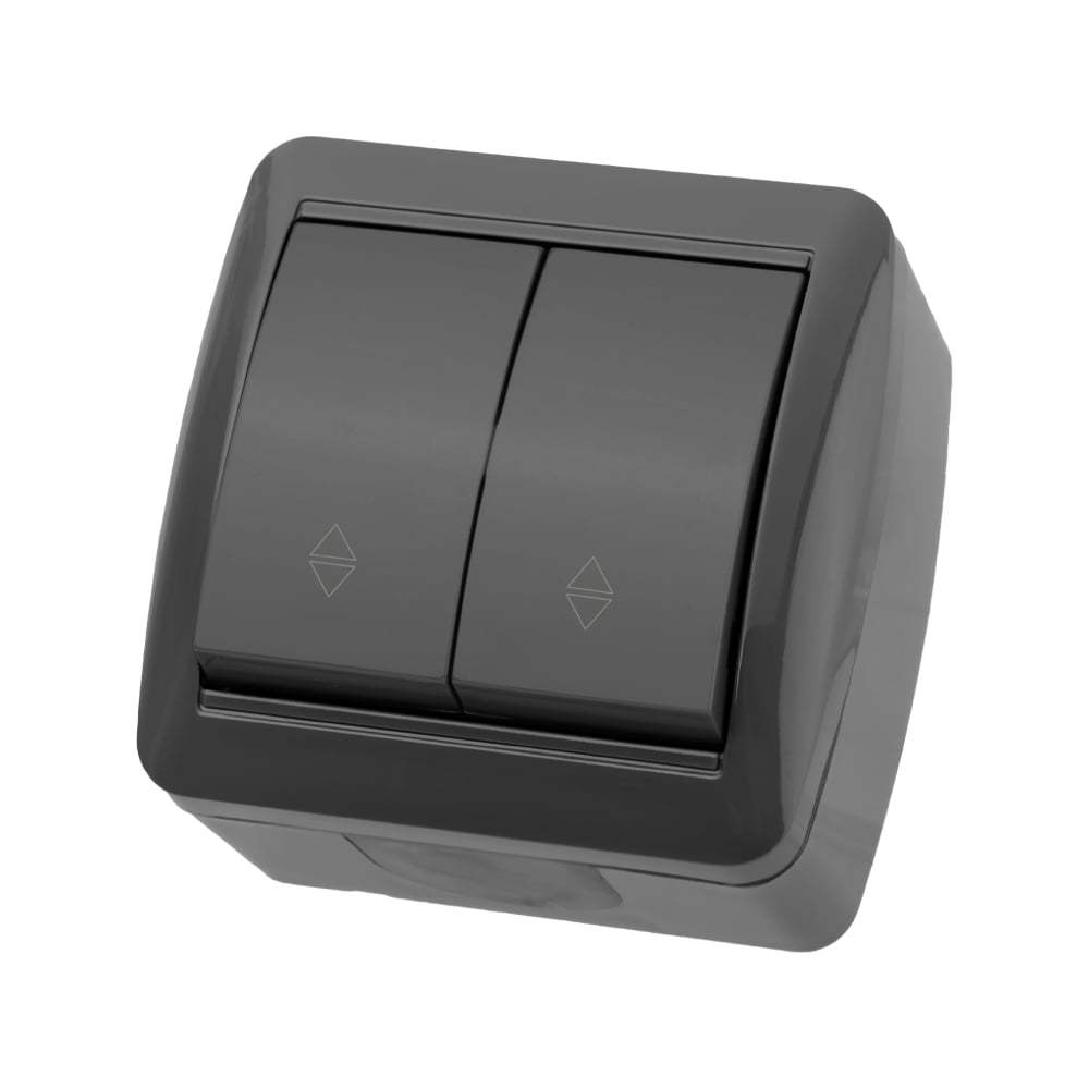 Изображение товара 2-клавишный выключатель TDM ELECTRIC 10А IP44 серый Селигер