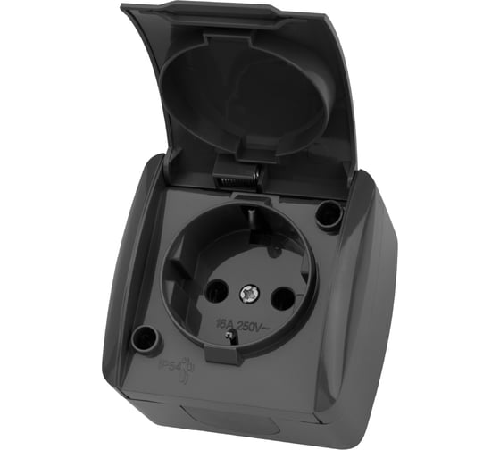 Изображение товара Розетка с крышкой накладная с заземлением TDM ELECTRIC серая 2П IP54 16А серия "Селигер" SQ1818-0113