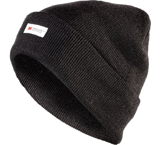 Изображение товара Шапка Спец СКЕЙТЕР утепленная, черный 158204