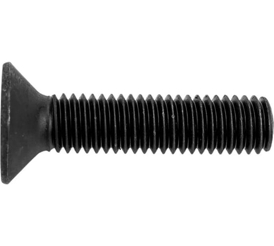 Изображение товара Винт ЦКИ DIN7991, М4x45 мм, 10.9, ОКС, HEX 2.5, 25 шт. 84267