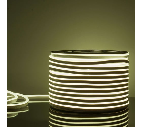 Изображение товара Гибкий неон Elektrostandard LS001 2835 односторонний, белый, 50 м, 120 LED ламп a040597