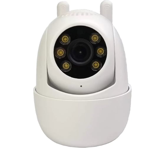 Изображение товара Умная камера уличная поворотная Roximo c Алисой RHC202