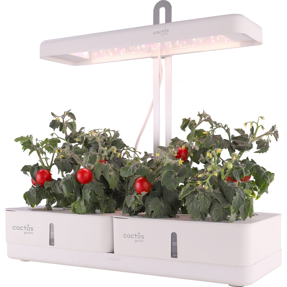 Изображение товара Гидропонная установка Cactus Garden 3.0л 20 белая CS-LEDPOT-08