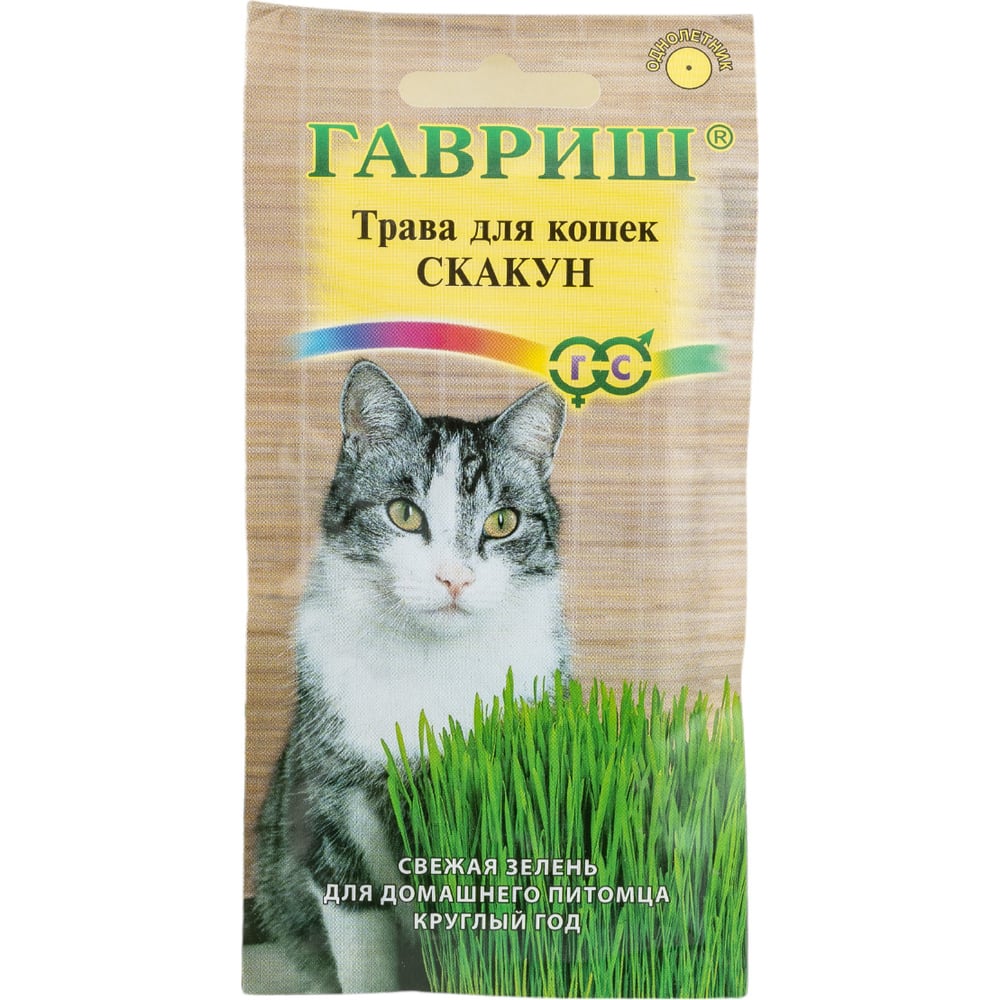 Семена ГАВРИШ, цвет не цветет 002373 Трава для кошек Скакун - фото 1