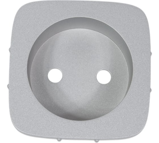 Изображение товара Лицевая панель силовой розетки Legrand Valena ALLURE 2К, алюминий 754977