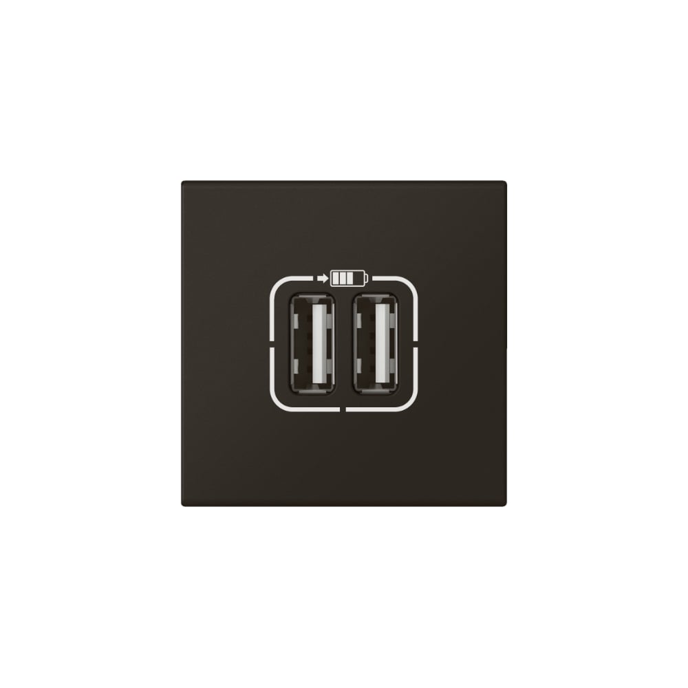 Розетка двойная USB Legrand программа Mosaic А+А, для зарядки, 2 модуля, матовая черная 079194L