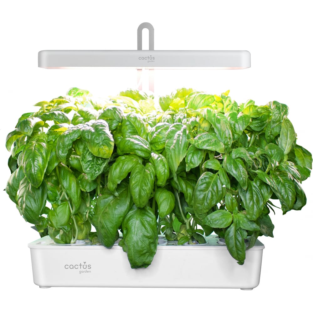 Изображение товара Гидропонная установка Cactus Garden CS-LEDPOT-10 2 литра 10 ячеек для дома и теплицы