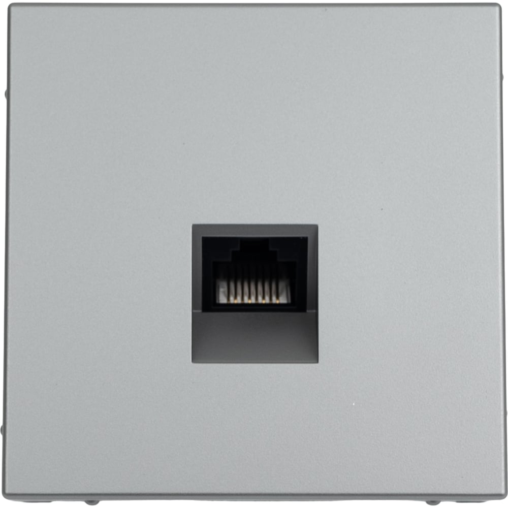 Изображение товара Компьютерная розетка RJ45 Systeme Electric ArtGallery Сталь, механический монтаж