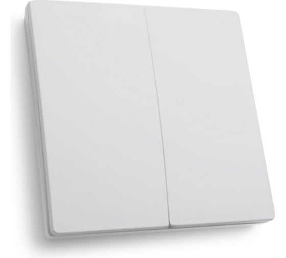 Изображение товара Двухклавишный выключатель дистанционного управления FERON 250V 500W TM82 41129