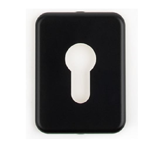 Изображение товара Накладка декоративная AVERS DP-15.mini-C-BLM 32969