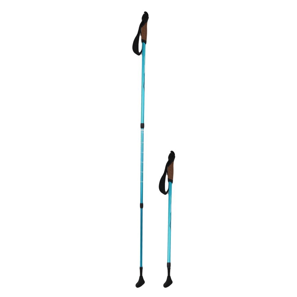 фото Раздвижные трехсекционные палки для скандинавской ходьбы larsen