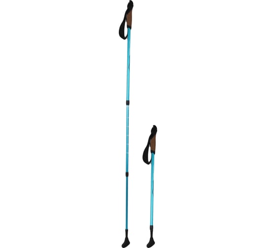 Изображение товара Палки для скандинавской ходьбы Larsen Adventure раздвижные, 65-135см, 3х секционные 339 425