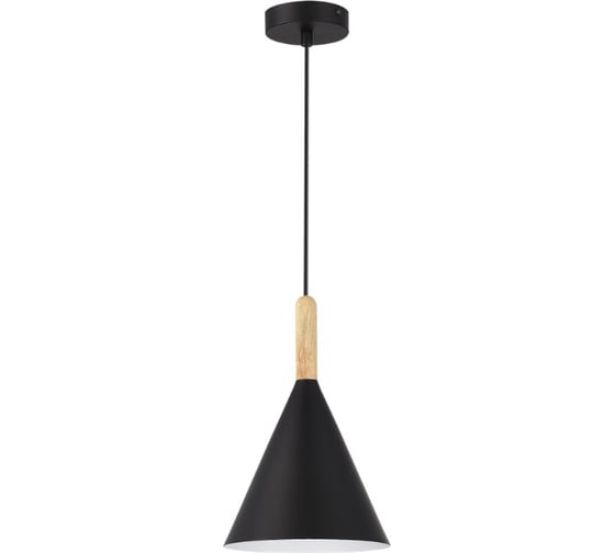 Изображение товара Светильник подвесной Evoluce Черный/Черный E27 1х40W SLE1255-403-01