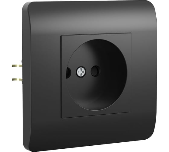 Изображение товара Розетка CHINT NEW3-E 16А без заземления, защитные шторки черный 431486