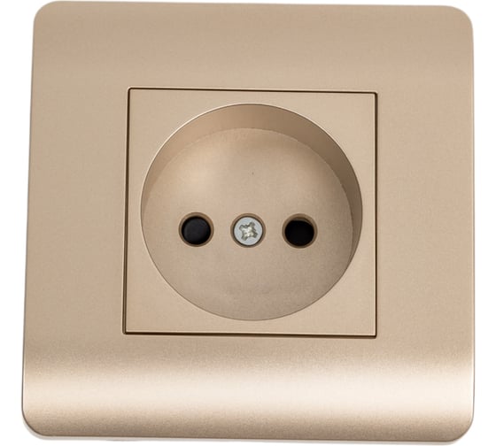 Изображение товара Розетка CHINT NEW3-E 16А без заземления, защитные шторки шампань 431408